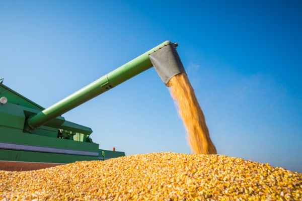 2025年中國農民豐收節金秋消費季啟動