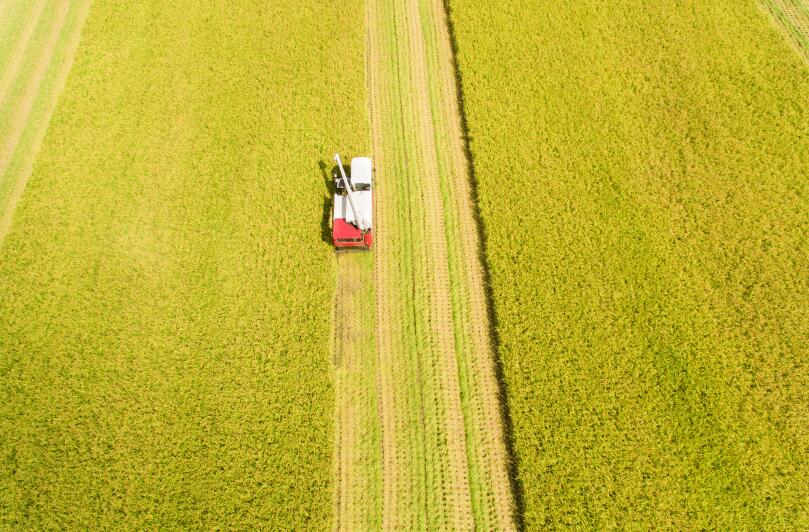 廣東省2024-2026年農(nóng)機(jī)購(gòu)置與應(yīng)用補(bǔ)貼機(jī)具補(bǔ)貼額一覽表（第二批）