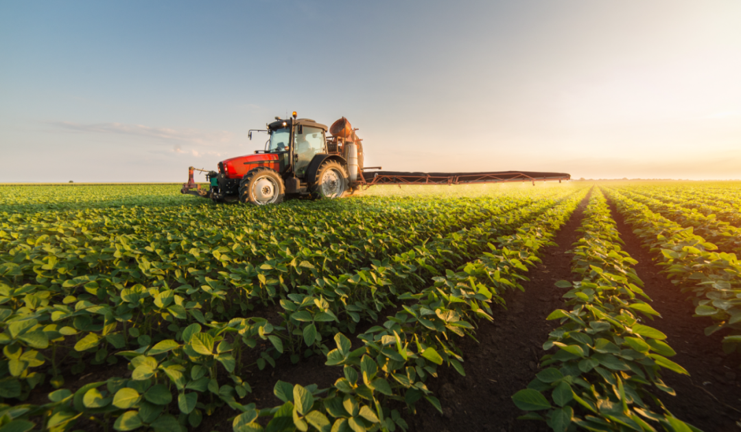 農(nóng)機、農(nóng)技、農(nóng)藝融出豐收景“五新”農(nóng)機繪就糧安新藍(lán)圖