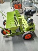 山東大蒜頭播種機 大蒜播種機大蒜車