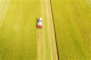 广东省2024-2026年农机购置与应用补贴机具补贴额一览表（第二批）