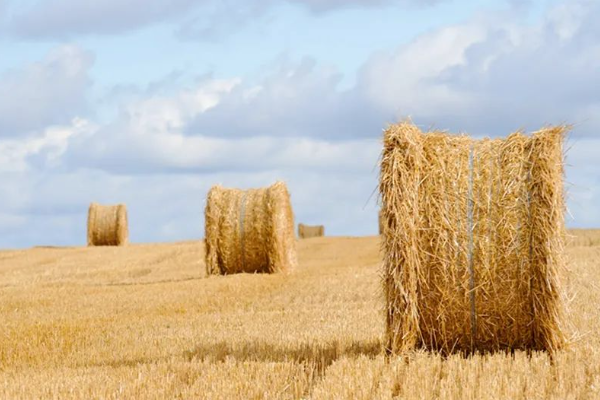 【政策解读】2025年度广东省强农惠农富农政策明白本之农业生态资源保护