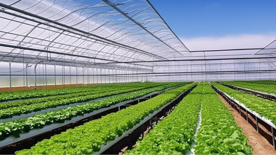 青銅峽:聚力打造設施蔬菜智能化示范基地 助推蔬菜生產方式轉型升級