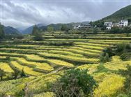 福建省農(nóng)業(yè)農(nóng)村廳調(diào)研組深入將樂察看丘陵山區(qū)農(nóng)業(yè)機(jī)械化和農(nóng)機(jī)裝備發(fā)展情況