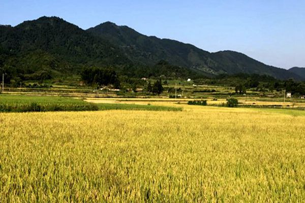 阳城农业农村局开展2026年粮食机械化初加工项目设备核验工作